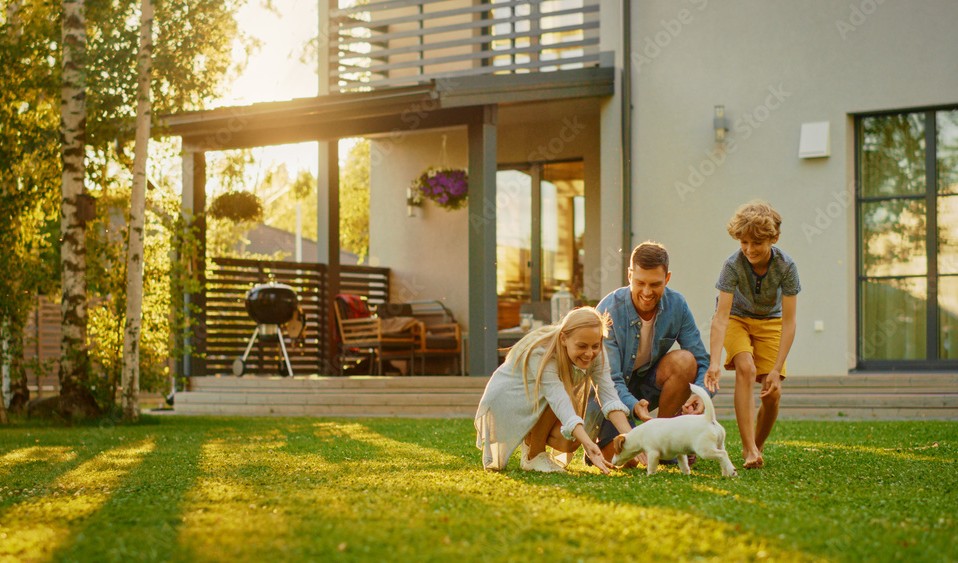 Owner brushing a Golden Retriever's coat outdoors on a sunny summer day