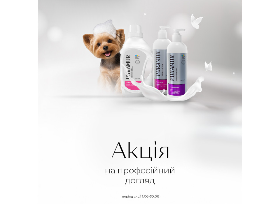 азиатская овчарка на черном