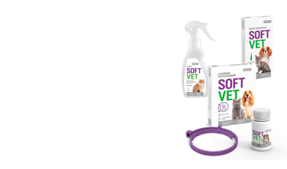 SoftVet