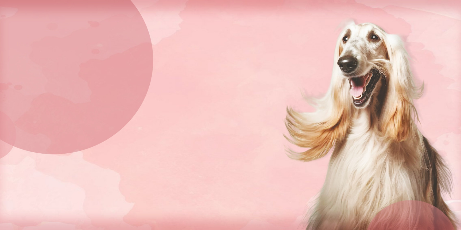 Welcome Forum PURAMUR: New Level of Grooming in Ukraine