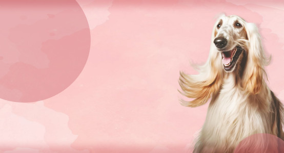 Welcome Forum PURAMUR in Odessa: New Level of Grooming in Ukraine